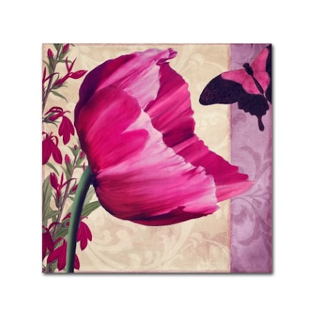 Color Bakery ' Pink Poppy II ' Canvas Art,18x18